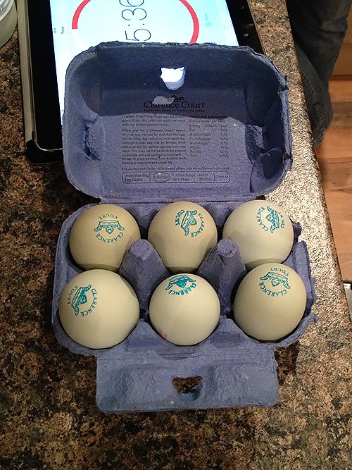 blue eggs